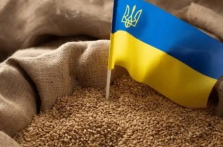 ​Fermerët ukrainas kanë korrur tashmë mbi 62 milionë ton kultura të reja