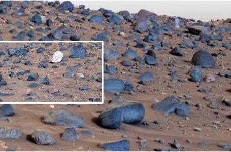 NASA publikon pamje nga Marsi