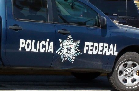 Të shtënat në Meksikë kanë lënë të vdekur 16 persona