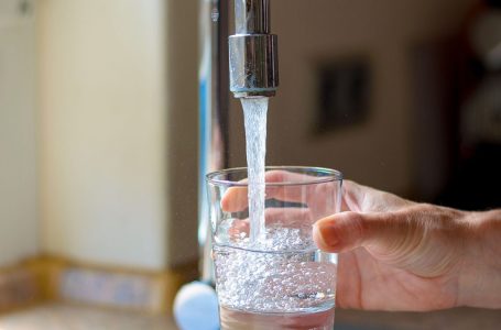 Mangani ende me vlera të larta në ujin për pije nga Liqeni i Badocit