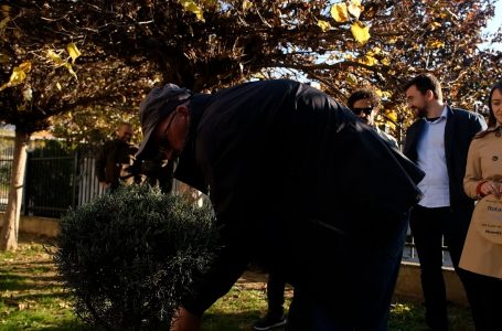 Mbillen disa fidane në dy lokacione të qytetit
