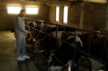 Besjan Ibrahimi, fermeri nga fshati Berjahë që kujdeset për 60 krerë gjedhe