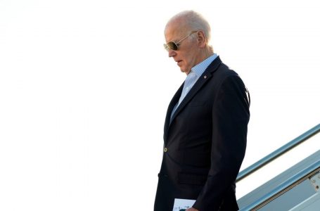 Aleatët e Harris i drejtojnë gishtat Bidenit për humbjen në zgjedhje
