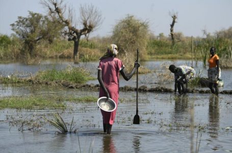 Përmbytjet në Sudanin e Jugut prekin 1.4 milionë, zhvendosin 379,000: OKB