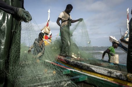 Anijet e BE-së do të ndërpresin peshkimin në Senegal