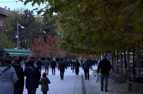 Shala: Trendi i vrasjeve e plagosjeve në Kosovës në rritje