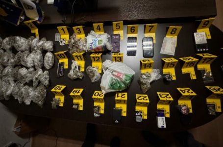 Aksioni i antidrogës në Prizren