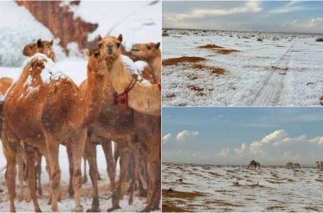 Pamje të rralla, për herë të parë në histori bie borë në shkretëtirën e Arabisë Saudite