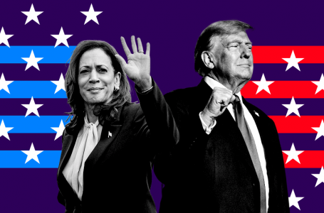 Sondazhet në SHBA: Kush është përpara – Harris apo Trump?
