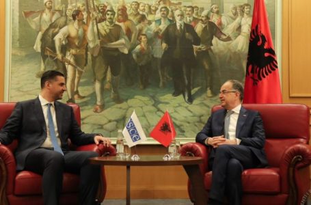 Begaj: Shqipëria do vijojë të mbështesë vlerat e të drejtave të njeriut