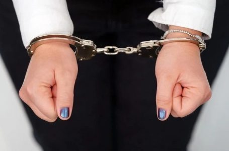 I dha 50 euro ryshfet policit