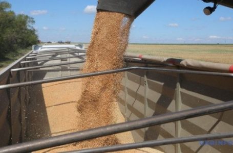 Ukraina korr tashmë 68.9 milion ton drithëra dhe farëra vajore