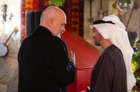 ​Rama me presidentin e Emirateve të Bashkuara: Në fokus zbatimi i projekteve të modernizimit të sektorit publik