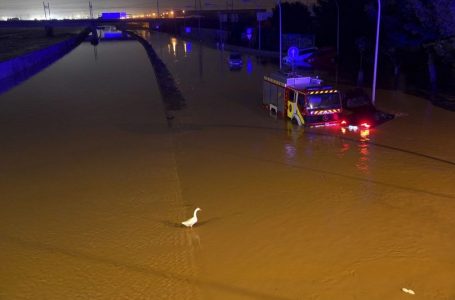 VIDEO| Fillimi i katastrofës në Valencia, uji përmbyti rrugët në pak sekonda