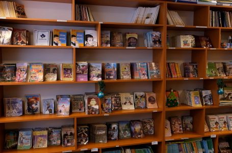 Botimet e reja mungojnë në disa nga bibliotekat shkollore të qytetit