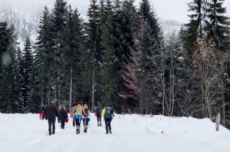 Ngjitjet malore, synohet masovizim i turizmit malor