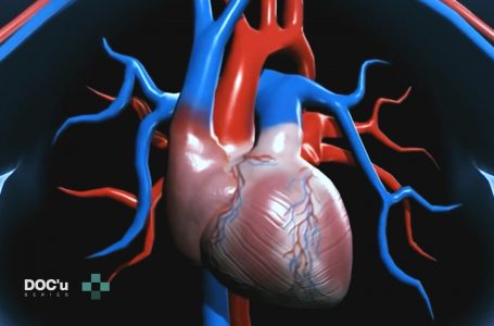 Dr. Brovina: Jo çdo dhembje e gjoksit te të rinjët mund të jetë infarkt