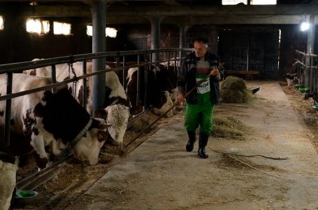 Fermeri Sylmetaj: Fermerët duhet të kenë qasje sa më të lehtë në subvencione