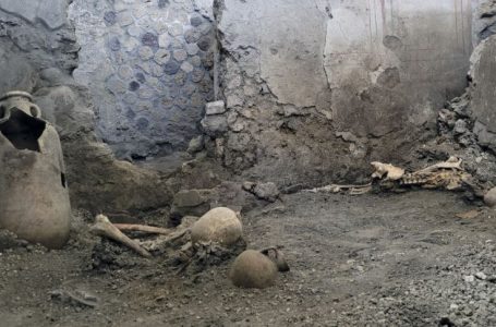 Gjenden 300 skelete të lashtë gjatë restaurimit të gjykatës në Danimarkë
