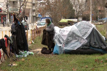 I PASTREHU QË JETON NË PARKUN E LIRISË