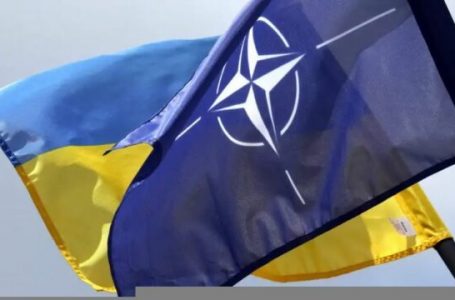 Ukraina menjëherë në NATO