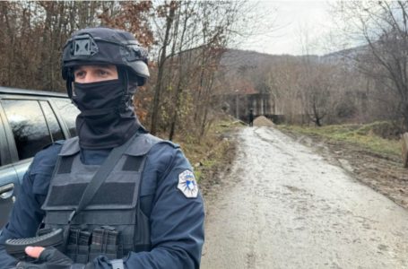 Vazhdojnë bastisjet policore në rajonin e Zubin Potokut