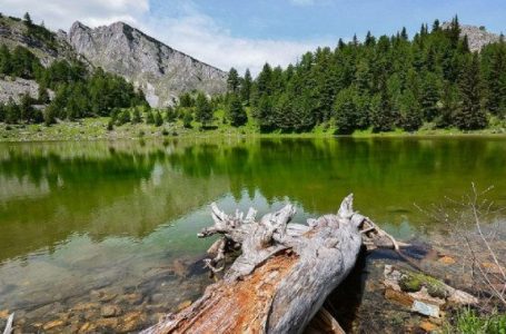 Rritet numri i turistëve në Kosovë