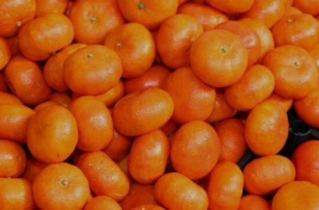 Bllokimi i mandarinave shqiptare që kanë pesticide të rrezikshme