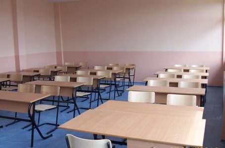 Interesim më i madh në sektorin privat në vitin shkollor 2024/2025