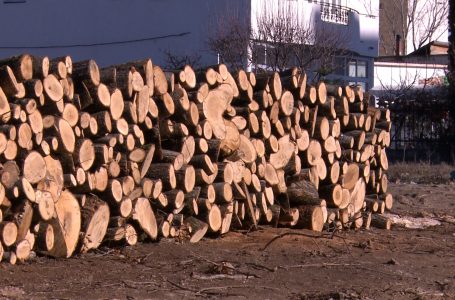 45 deri 55 euro një metër kub dru sot në Gjakovë