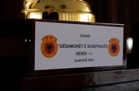 Në nderim të dëshmorëve të fshatit Shqiponjë mbahet turneu në futboll të vogël