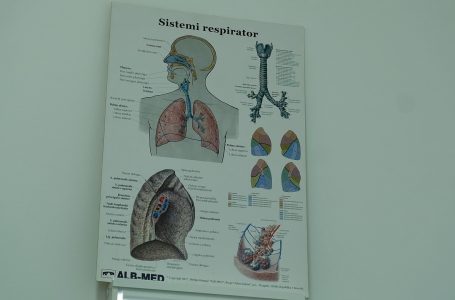 Profesionistët shëndetësorë apelojnë për kujdes ndaj virozave stinore