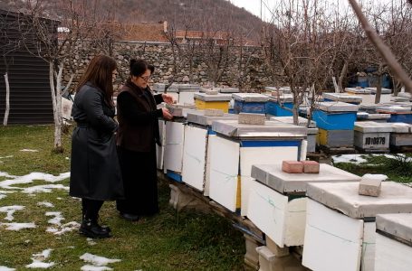 Hyseni: Dimri është një periudhë shumë e vështirë për bletët