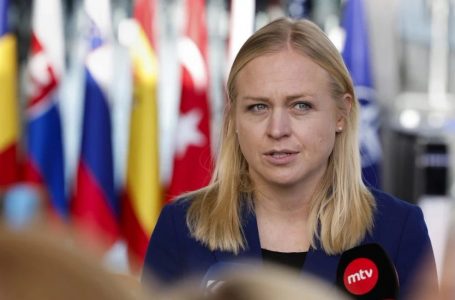 Hyrja në NATO është e vetmja garanci afatgjatë për Ukrainën