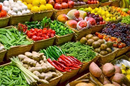 Shqipëri | Rritet me 26% sasia e fruta dhe perimeve të eksportuara gjatë vitit 2024