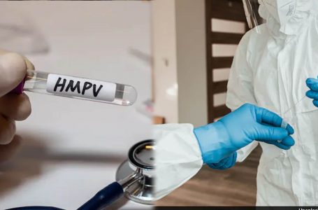 OBSH-ja jep informacione rreth metapneumovirusit (HMPV)