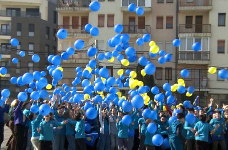 Të vegjlit e shkollës “Mustafa Bakija” mbajtën program artistik