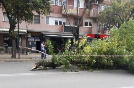 KEDS: Si pasojë e erërave të forta janë shkaktuar dëme në rrjet elektrik