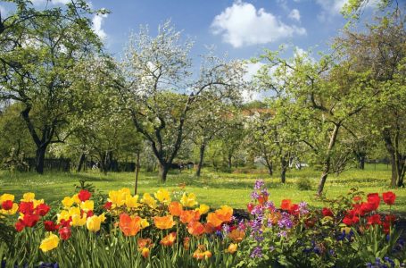 21 Marsi – Dita e Pranverës: Një rilindje e natyrës dhe shpresës