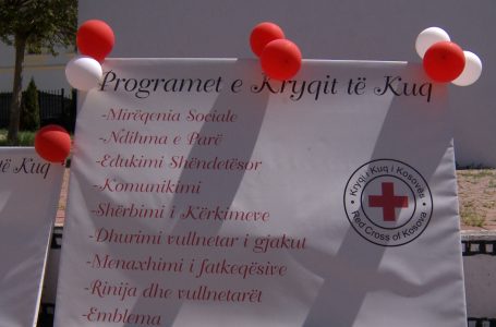 Nxënësit e shkollës “Gjon Nikollë Kazazi”, fitues në garat e ndihmës së parë