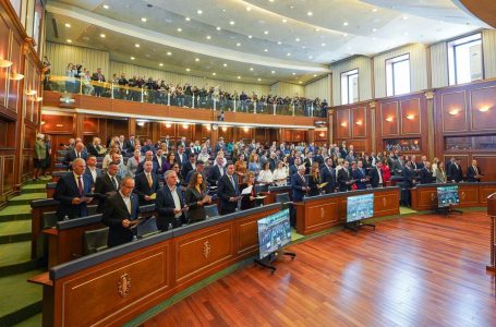 Deputetët e LDK-së kërkojnë reflektim nga LVV-ja