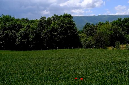 Fshati Ramoc, thesar natyror i Gjakovës