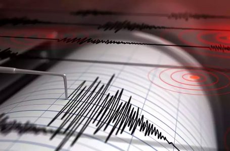 Tërmet i fuqishëm 6.2 ballë godet Afrikën Jugperëndimore