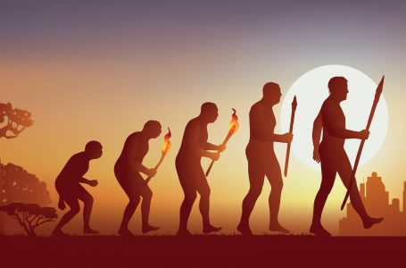 Një studim i ri ‘ringjall’ debatin e vjetër – Teoria e evolucionit mund të jetë e pasaktë