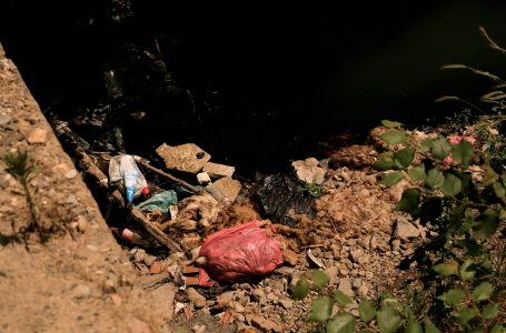 Kurban Bajrami përfundoi, disa mbetje të kurbanëve përfunduan në lumë