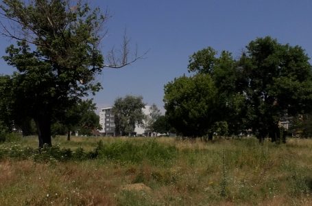 “Parku i Lirisë” i pamirëmbajtur, shkak kontesti gjyqësor