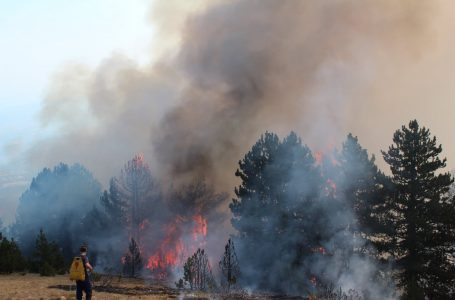Agjencia e Menaxhimit Emergjent del me apel: Mos ndizni zjarre