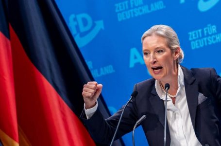 SPD kërkon përgatitjen e procesit për ndalimin e AfD