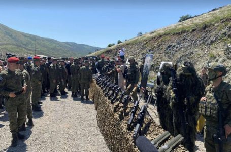“Defender Europe 25”: Mbahet dita e vizitorëve të shquar