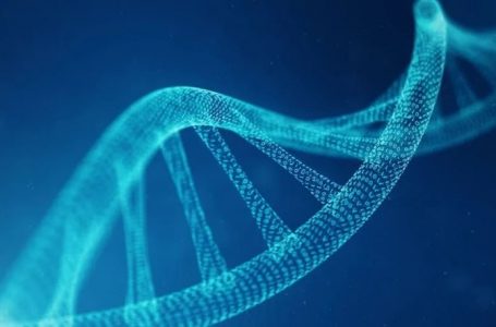 Nis zyrtarisht projekti për krijimin e ADN-së artificiale njerëzore